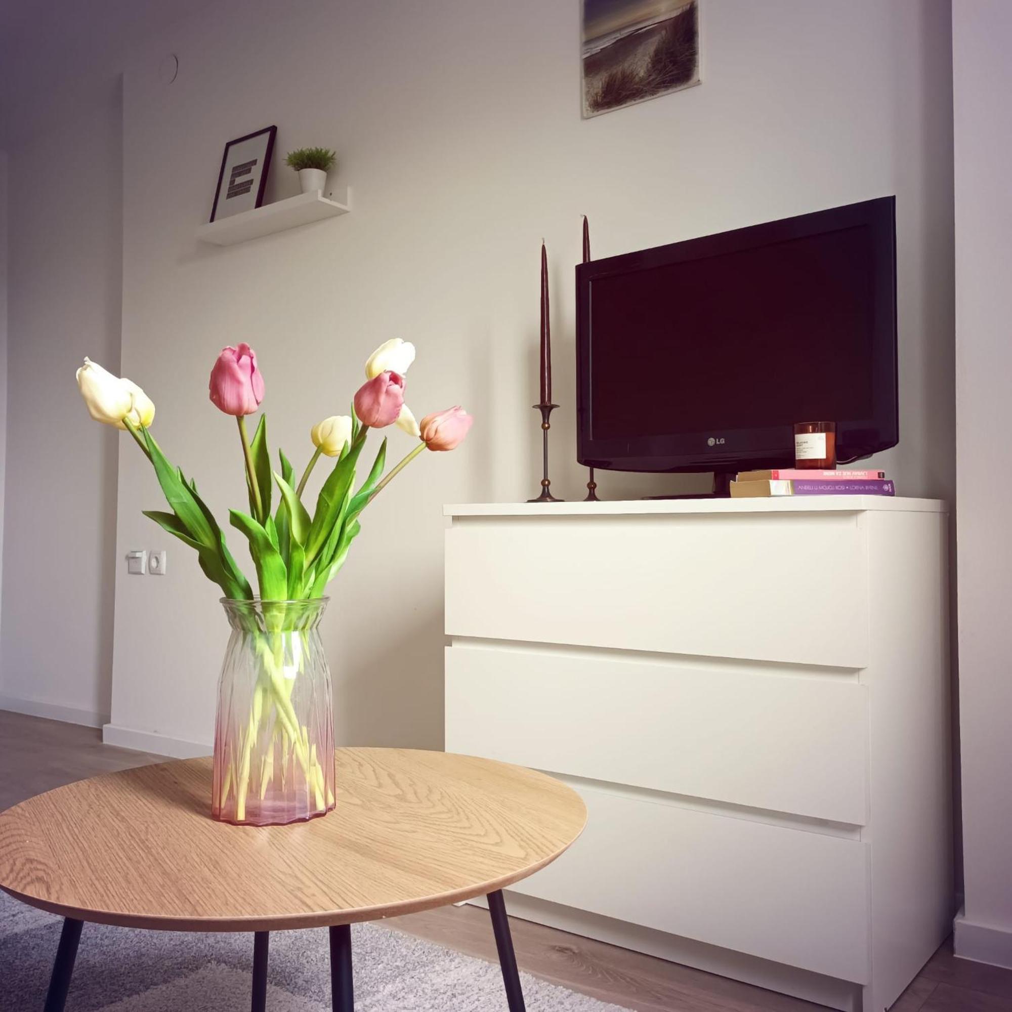 Апартаменты Bright And Modern Studio Near City Center Загреб Экстерьер фото